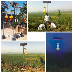 物理殺蟲就選殺蟲燈