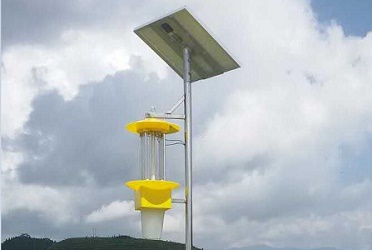 云飛太陽能殺蟲燈來到盧氏縣核桃產(chǎn)地