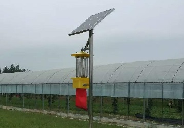 云飛太陽能殺蟲燈來到中牟草莓園