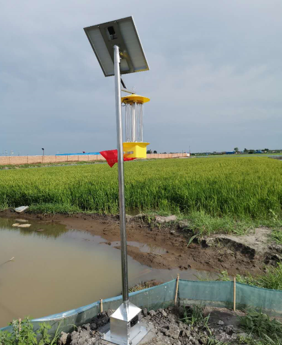 云飛頻振式太陽能殺蟲燈