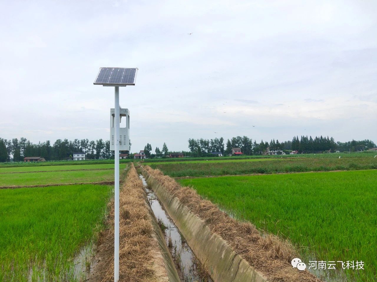 云飛風(fēng)吸式太陽(yáng)能殺蟲(chóng)燈